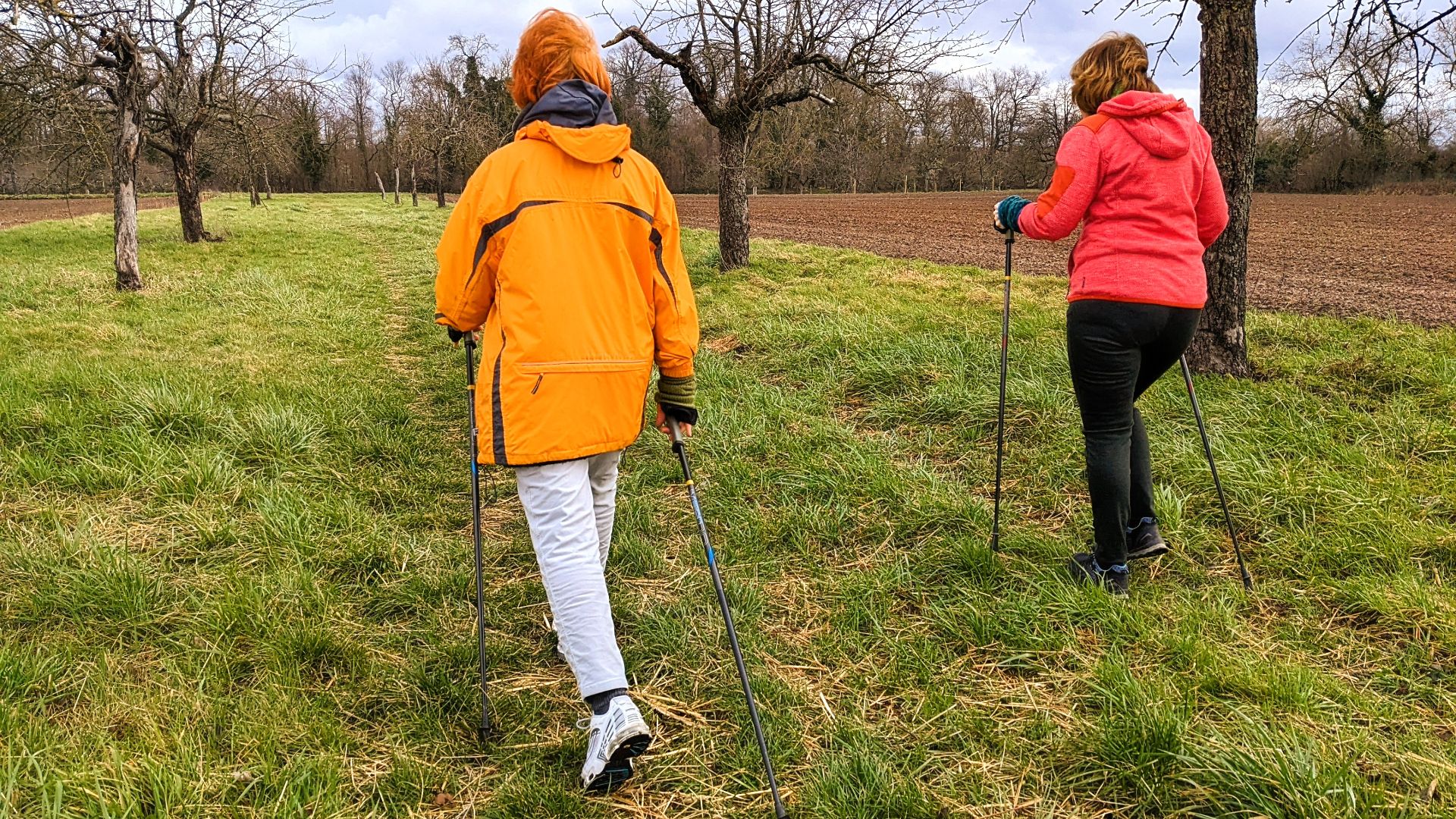 Nordic Walking