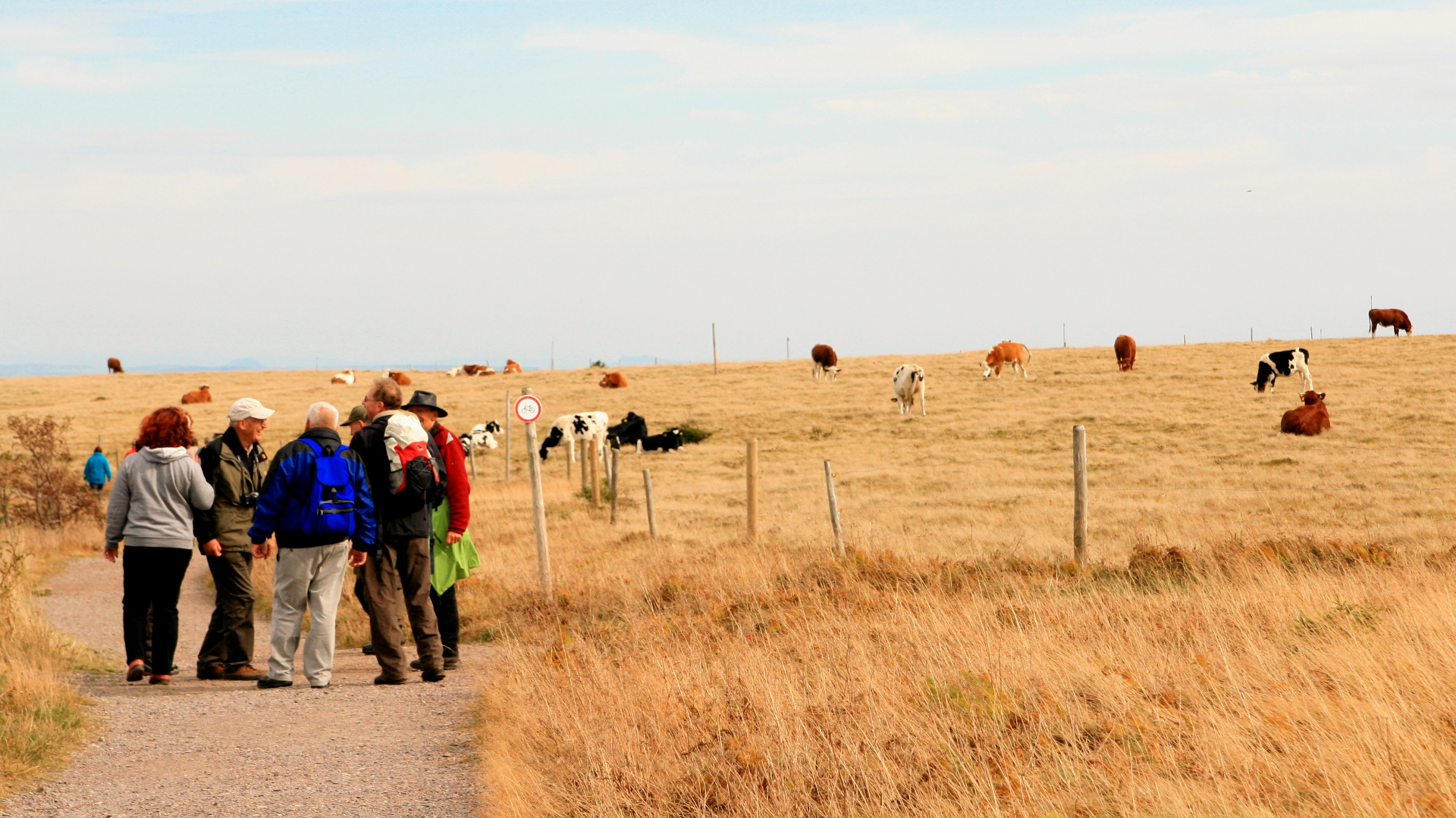 Fachgruppe Wandern